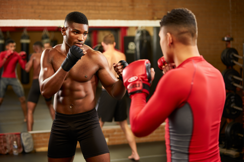 86c8f5c8ad49b91e295648bf779ce197