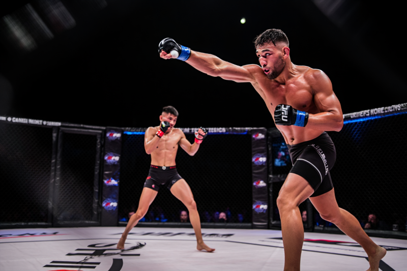 cd16f1e3d7de77438669ed820e212f66